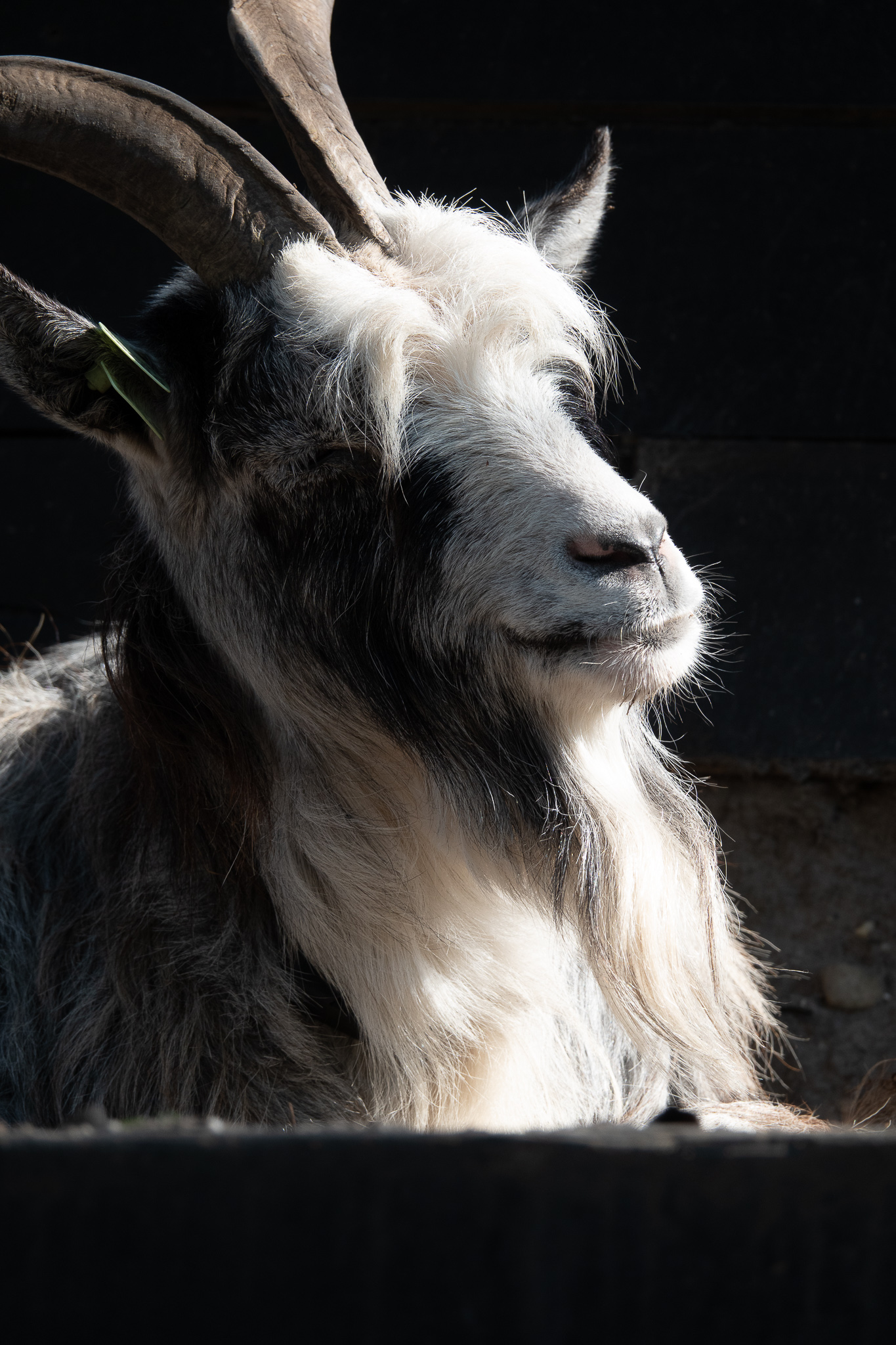 20260321   Fototrip Maart   Naarden vesting   049